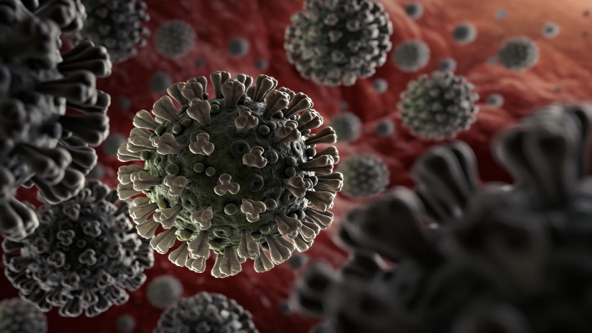 Sandra Choroszczucha y el coronavirus