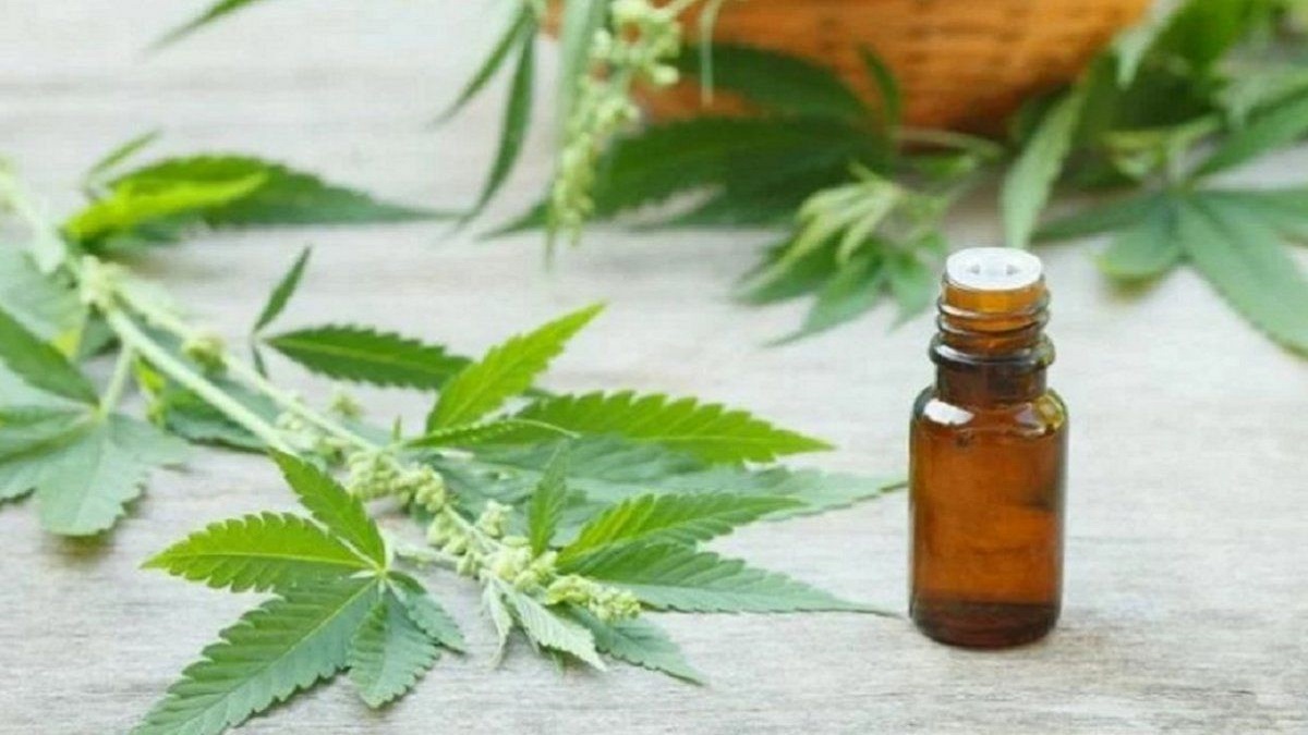 Uruguay y el cannabis