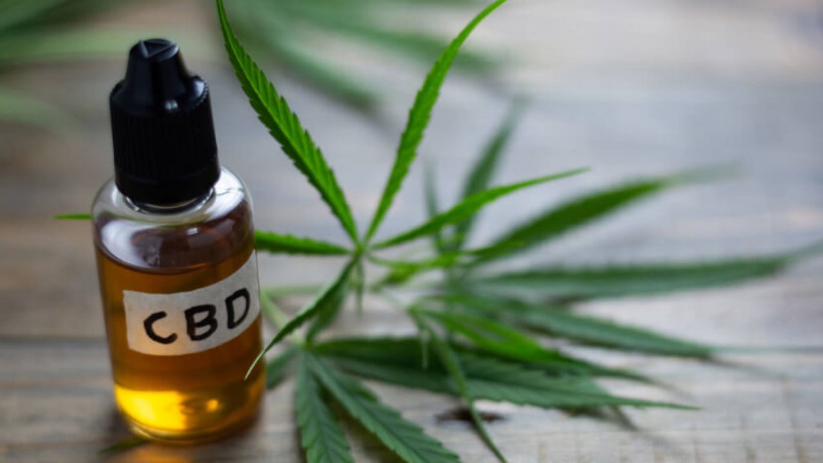 Argentina avanza en la industria del cannabis medicinal