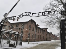 Los ceros y el Holocausto